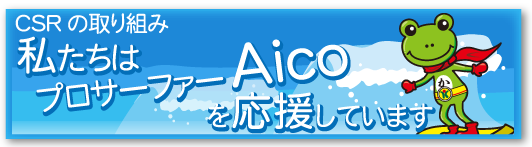 プロサーファーAico