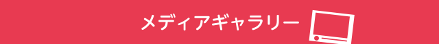 メディアギャラリー
